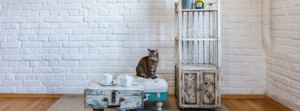 Cat sitting in a room with and suitcase table, an ottoman the cat is sitting on and white brick wall.
